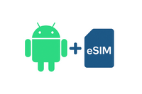 Aesim
