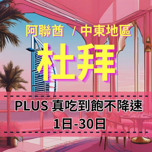 【eSIM】PLUS阿聯酋、杜拜無限流量上網|真吃到飽、不降速|中東多國原生電信|阿聯酋全境高速暢遊無阻