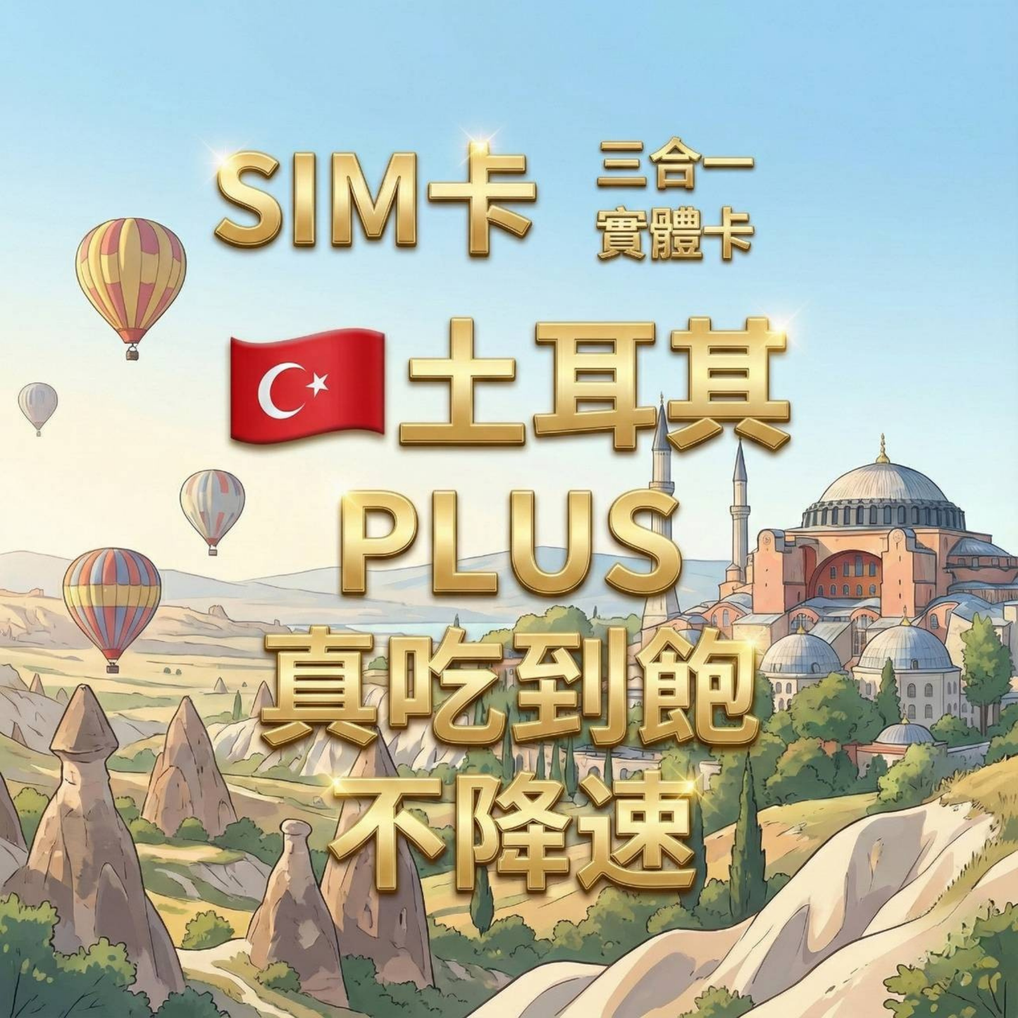 【實體卡】土耳其 無限流量吃到飽 4G/5G 免設定 即插即用 -J