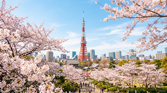 【2026 日本賞櫻自由行】東京/京都/大阪櫻花預測、滿開時間、必去景點、上網卡推薦 | SIM88 旅遊上網攻略