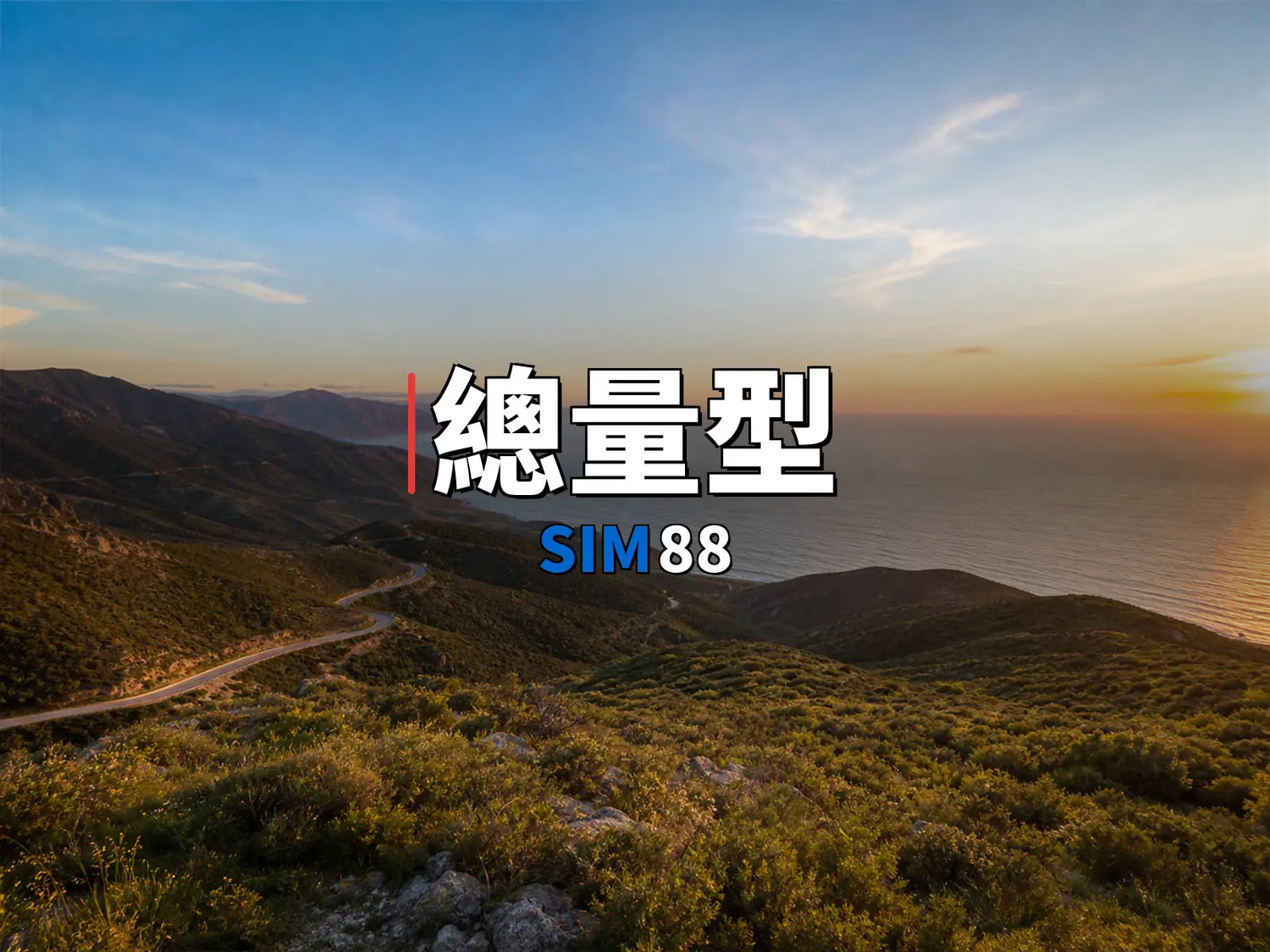 實體卡【總量型】｜SIM88