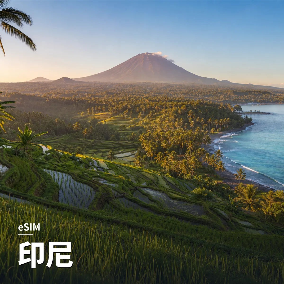 印尼 eSIM｜SIM88