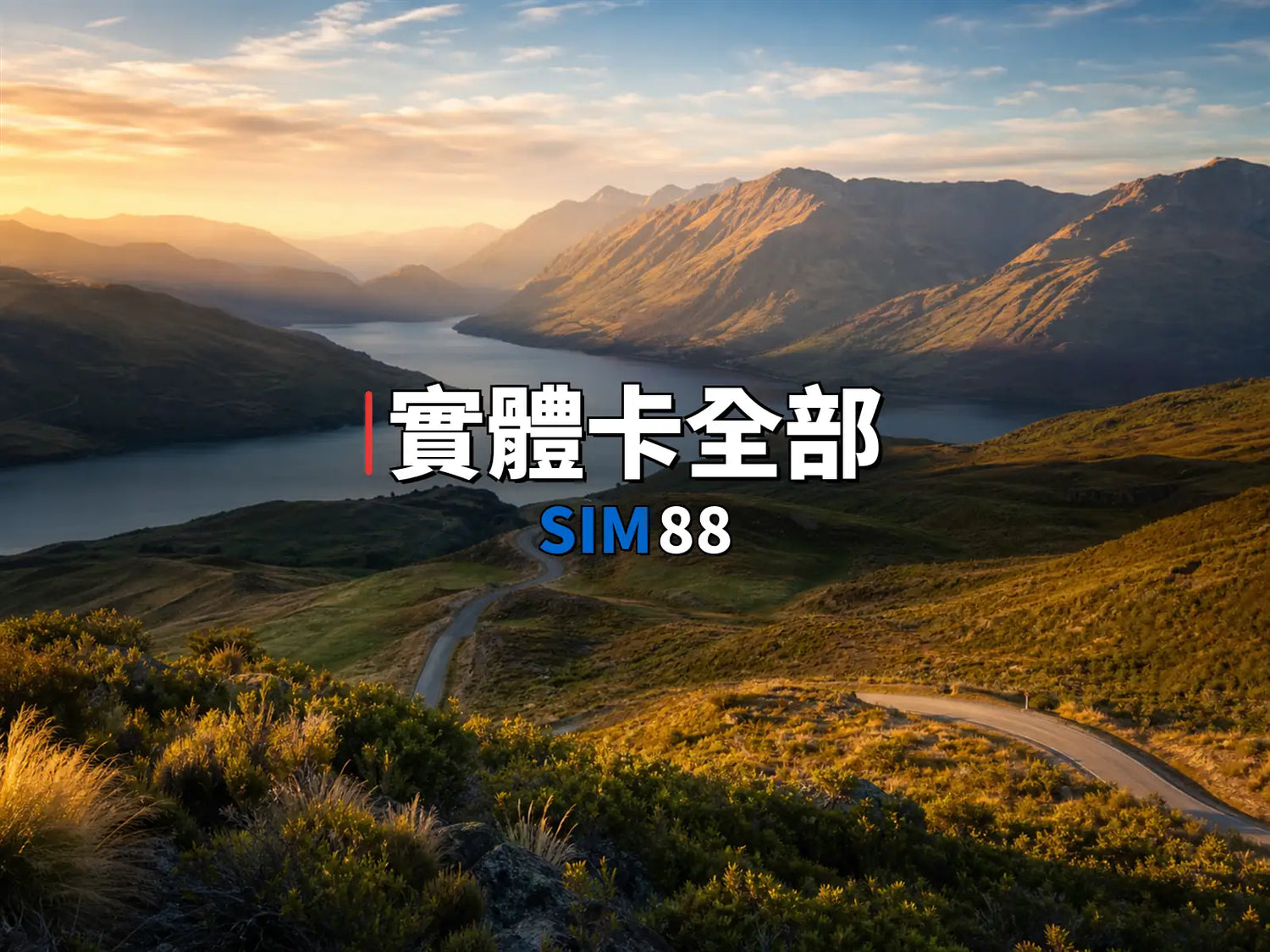實體卡全部【不分類型與國家】｜SIM88