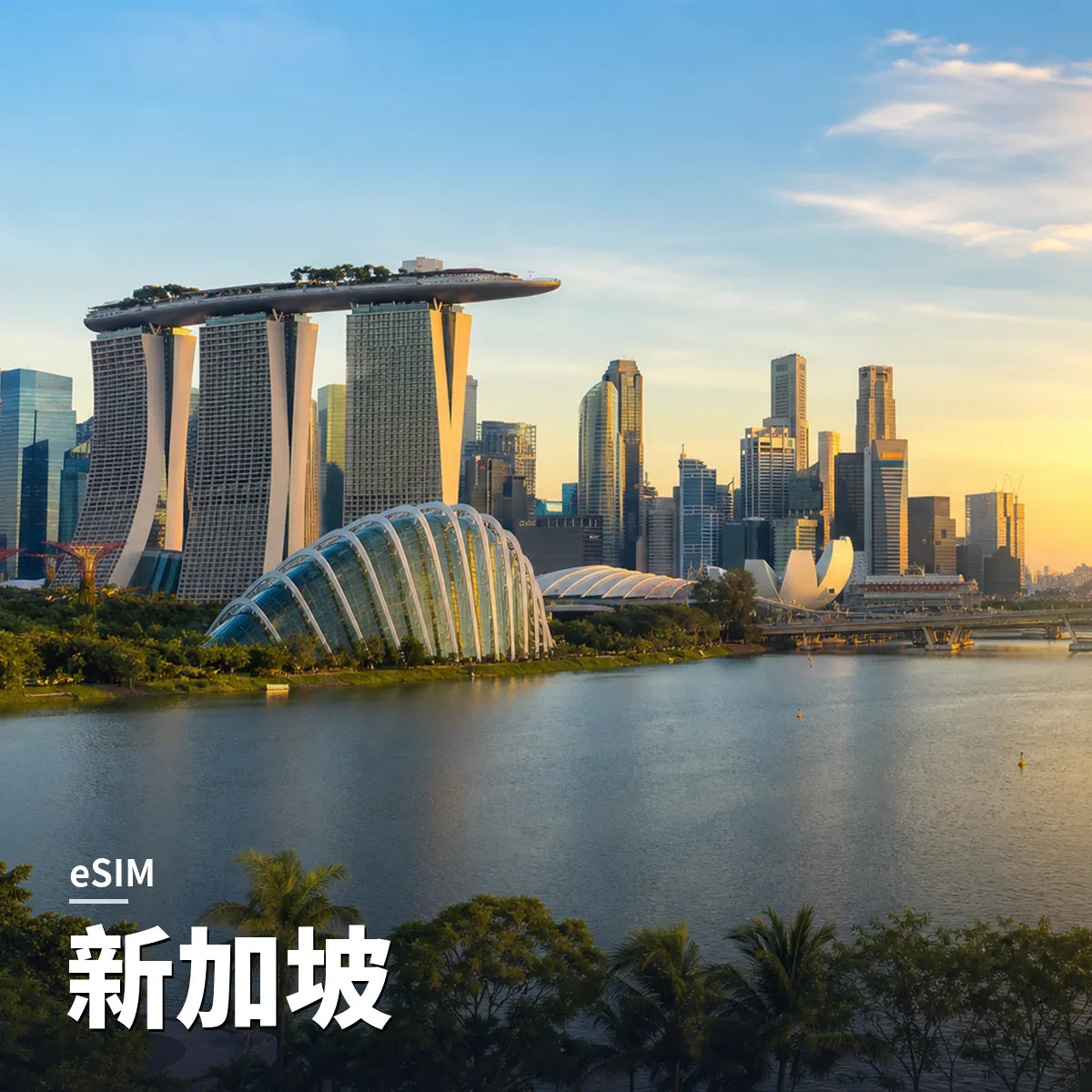 新加坡 eSIM｜SIM88