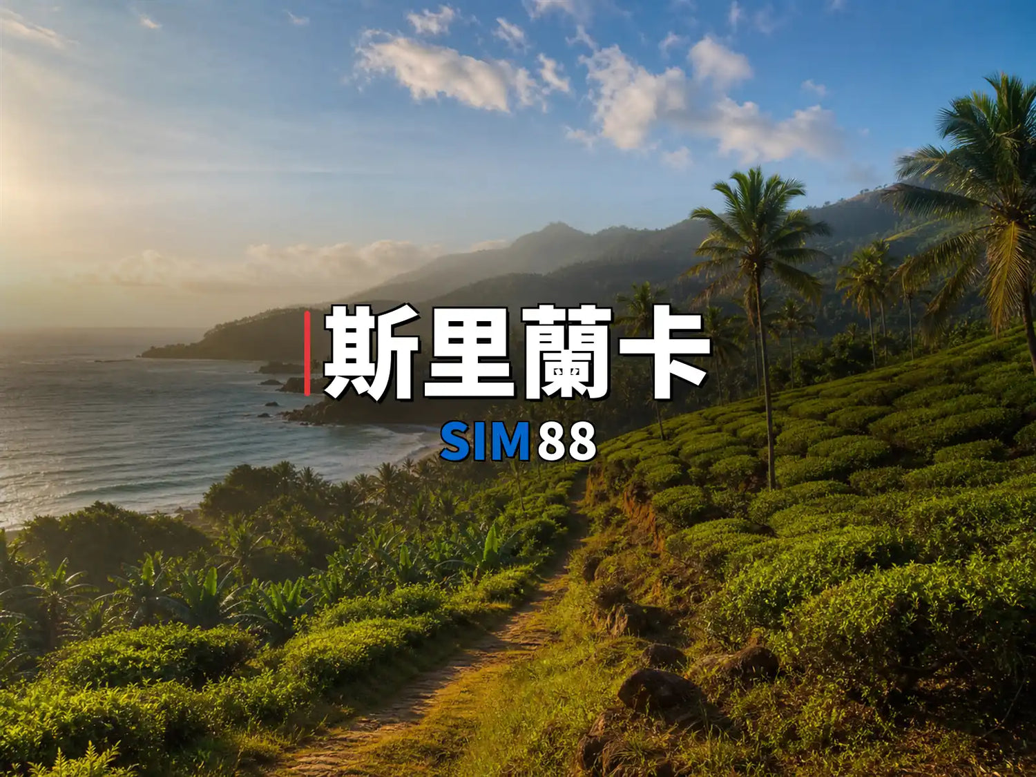 實體卡 斯里蘭卡｜SIM88