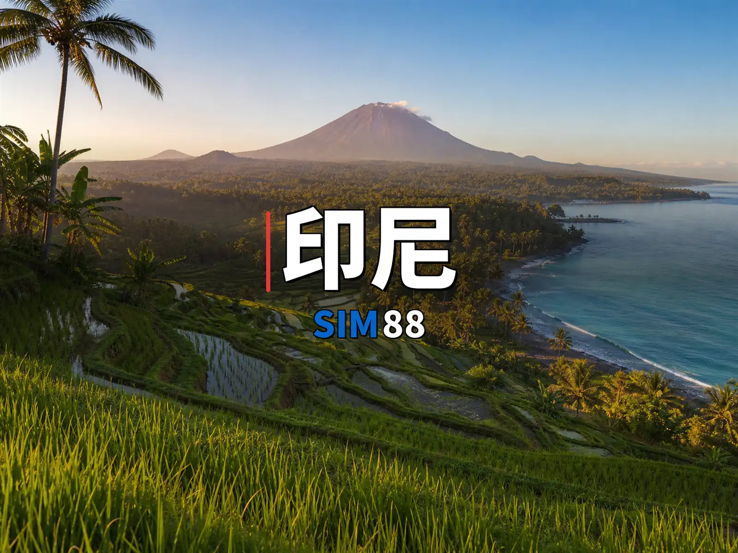 eSIM-印尼｜SIM88