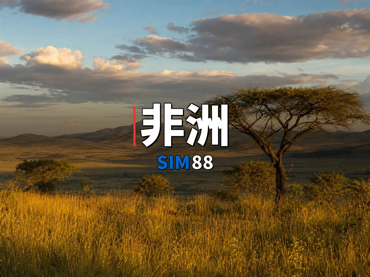 實體卡 非洲｜SIM88