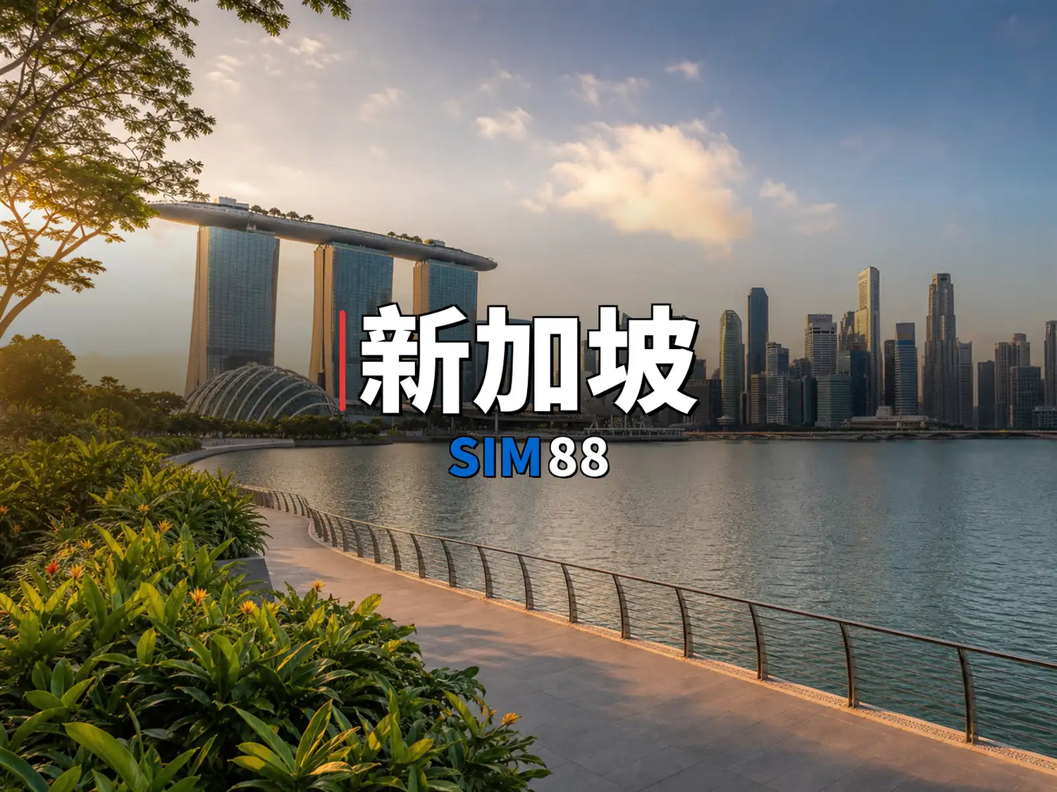 實體卡 新加坡｜SIM88