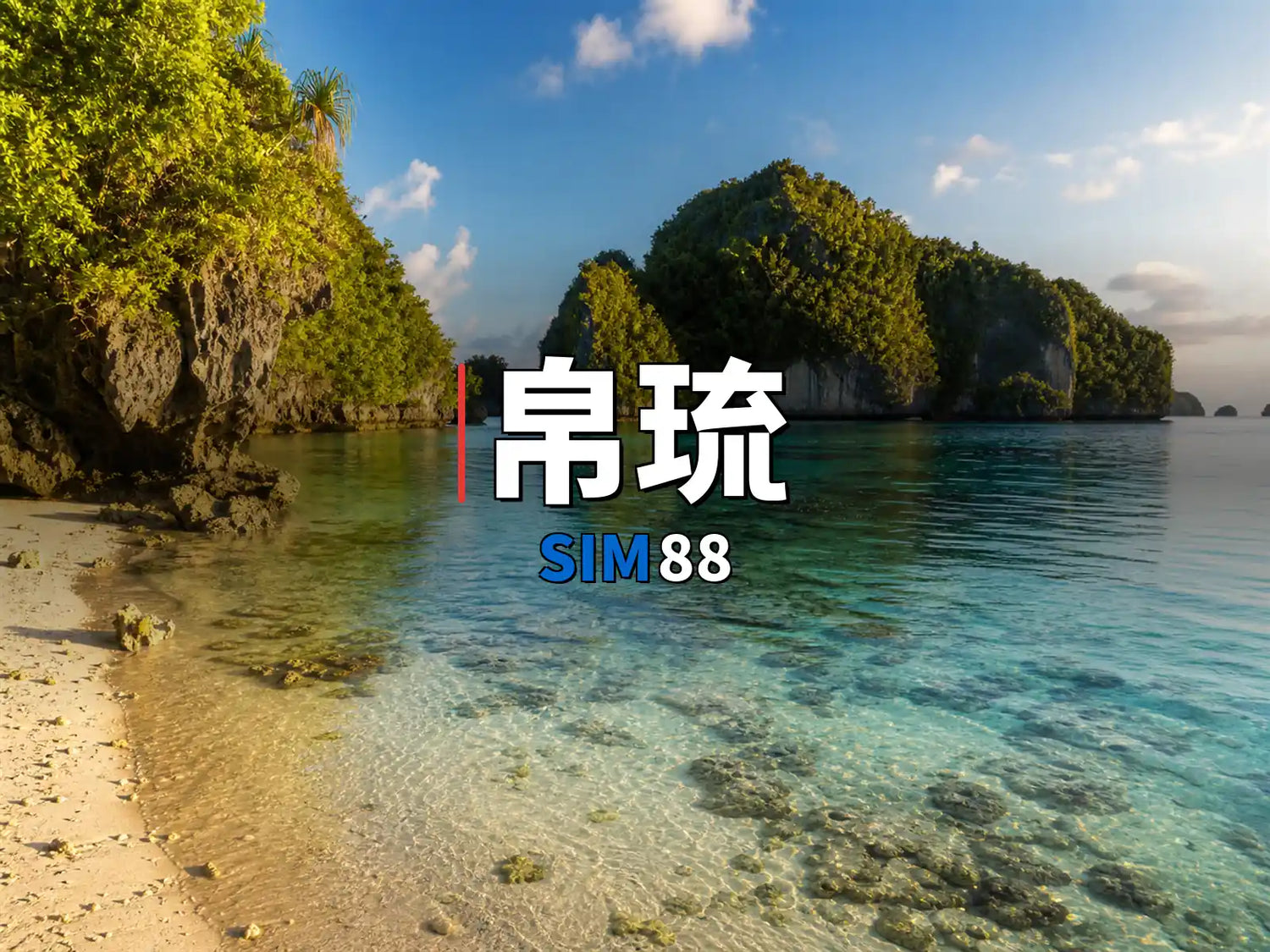 實體卡 帛琉｜SIM88