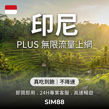 【eSIM】印尼上網卡 PLUS｜真吃到飽不降速｜Telkomsel電信