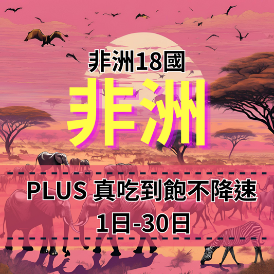 【eSIM】PLUS非洲18國無限流量上網｜真吃到飽、不降速｜Globe電信｜非洲18國高速暢遊無阻