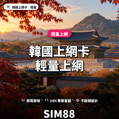 韓國實體卡上網卡｜輕量上網｜SIM88