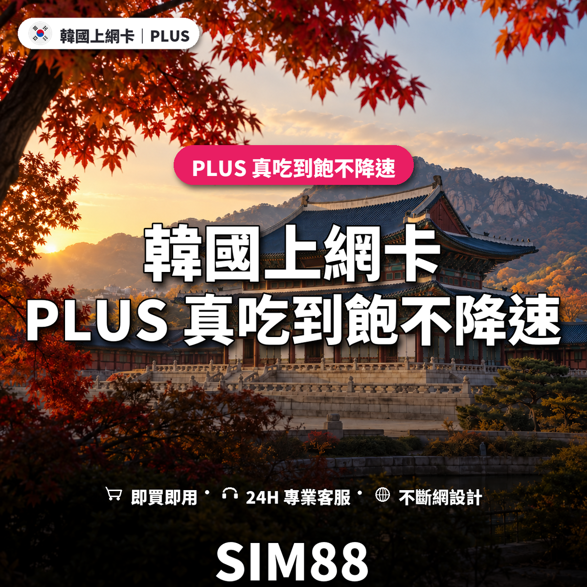 韓國實體卡上網卡｜PLUS 真吃到飽不降速｜SIM88