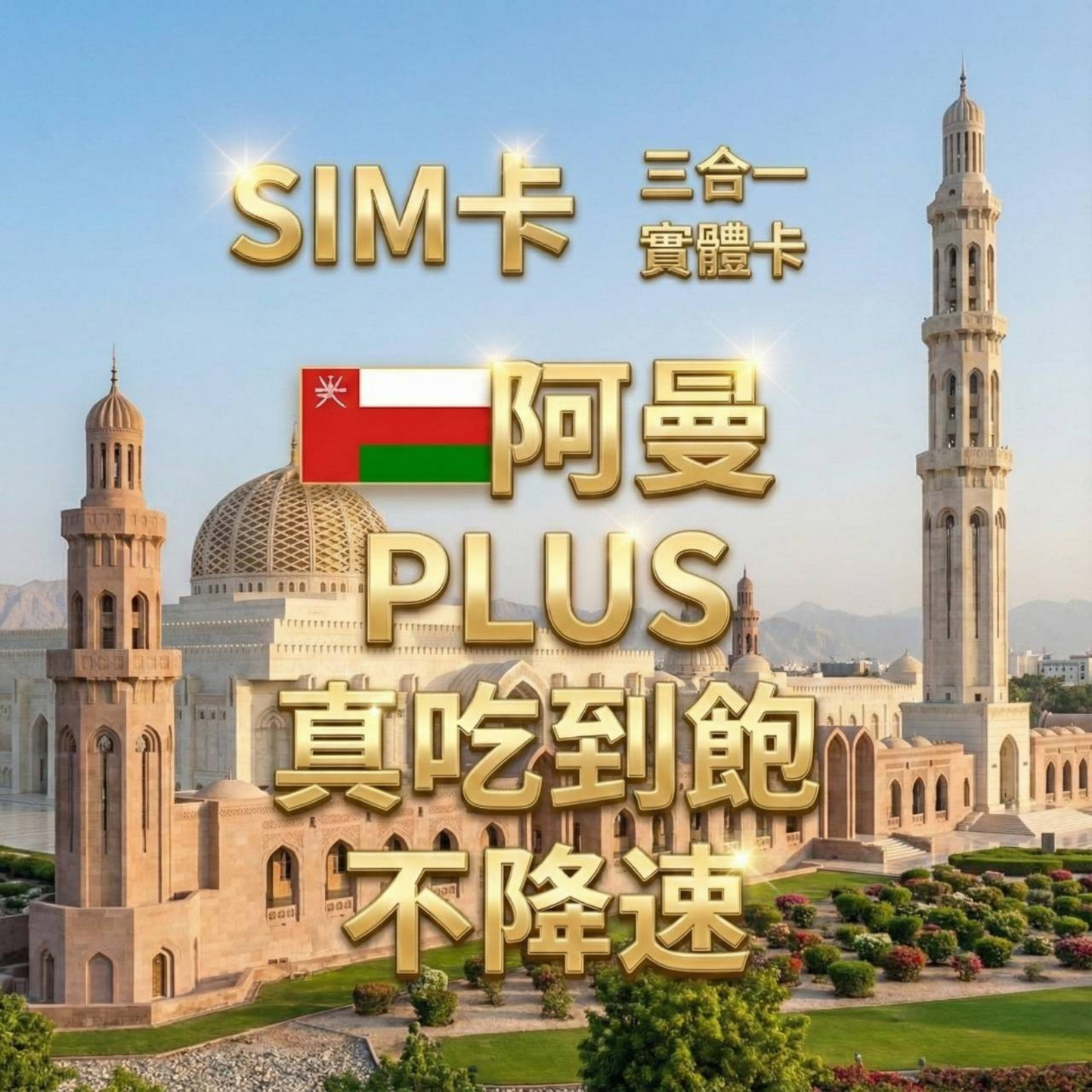 【實體卡】阿曼 無限流量吃到飽 4G/5G 免設定 即插即用 -J