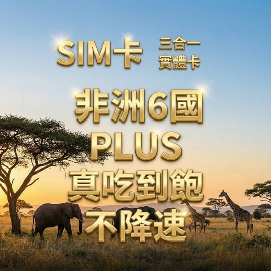 【實體卡】非洲6國 跨國上網 無限流量吃到飽 阿爾及利亞/突尼西亞/埃及等6國 4G/5G 免設定 即插即用 -J