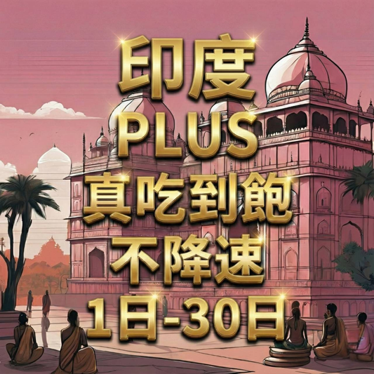 【eSIM】PLUS印度無限流量上網｜真吃到飽、不降速｜ Vodafone / Idea電信｜全境高速暢遊無阻