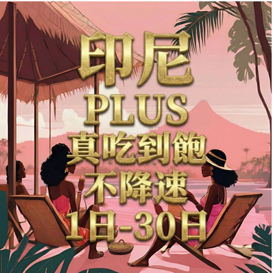 【eSIM】PLUS印尼無限流量上網｜真吃到飽、不降速｜印度尼西亞 Telkomsel電信｜印尼全境高速暢遊無阻